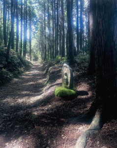 Kumano Ancient Road(Fushiogami)