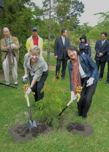 Mayor ITO and Mayor DAZIEL planting the 40th Anniversary Tree
