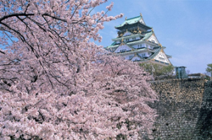 the spot of Cherry blossoms. Nishinomaru garden in the Osaka castle park is worth visiting, especially during Spring.