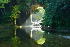 Nomizo Falls_05_New green leaves_Kimitsu City