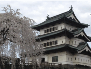 Cherry Blossoms and Hirosaki Castle
(Hirosaki Park, Aomori Prefecture)