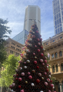 Christmas Tree at Martin Place